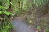 tunnelgully2015dec_226_wm_small.jpg