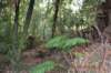 tunnelgully2015dec_227_wm_small.jpg