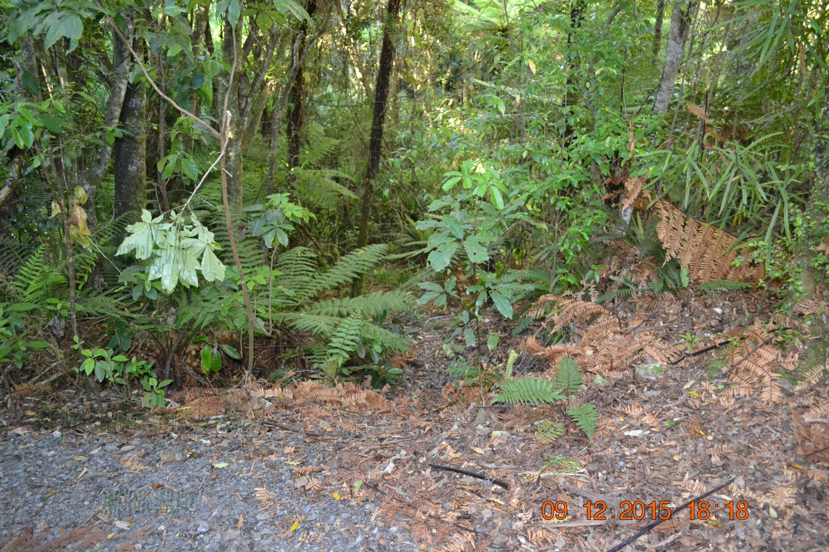 tunnelgully2015dec_229_wm.jpg