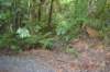 tunnelgully2015dec_229_wm_small.jpg