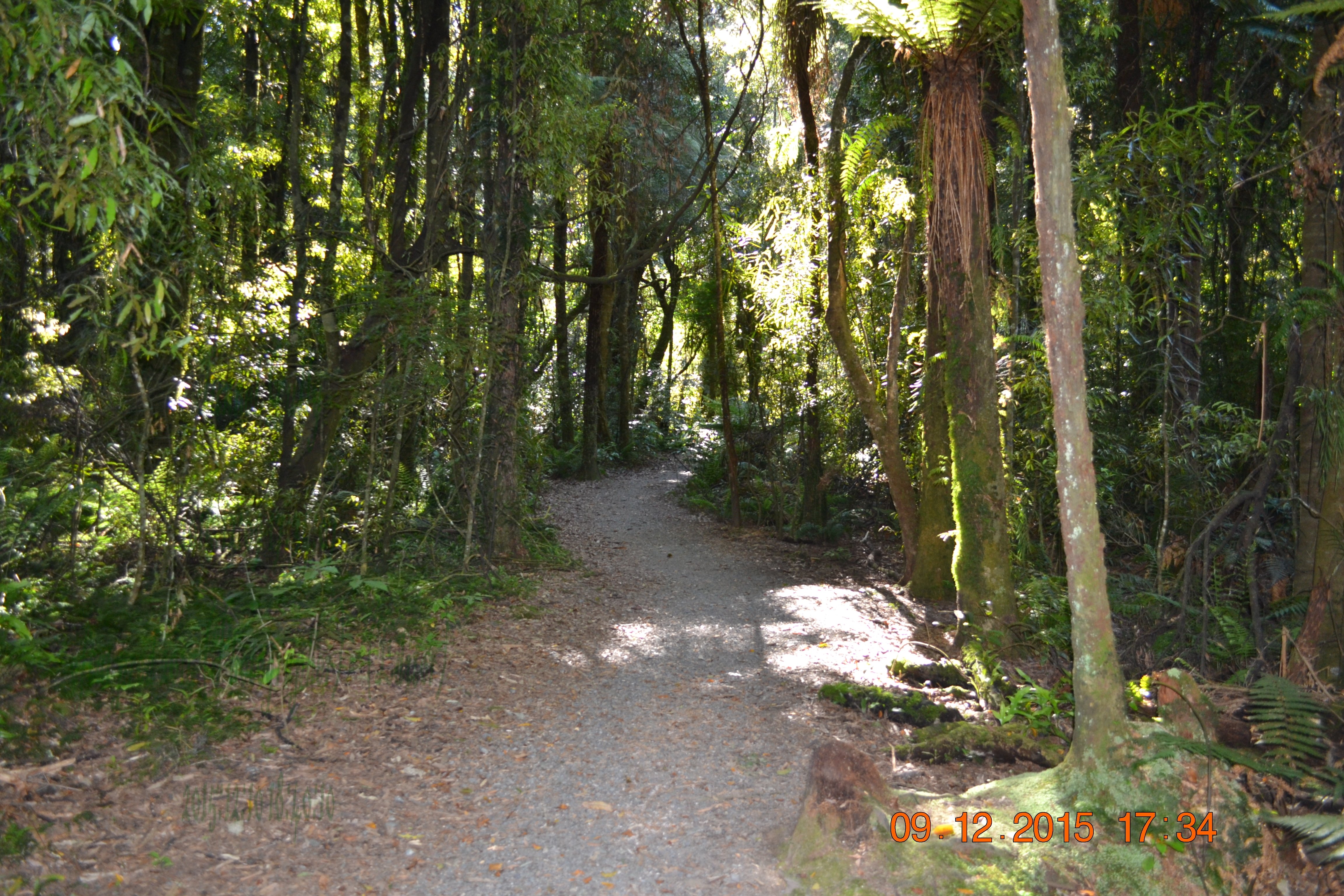 tunnelgully2015dec_22_wm.jpg