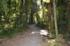 tunnelgully2015dec_22_wm_small.jpg