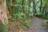 tunnelgully2015dec_230_wm_small.jpg