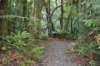 tunnelgully2015dec_231_wm_small.jpg