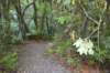 tunnelgully2015dec_232_wm_small.jpg
