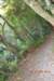 tunnelgully2015dec_233_wm_small.jpg