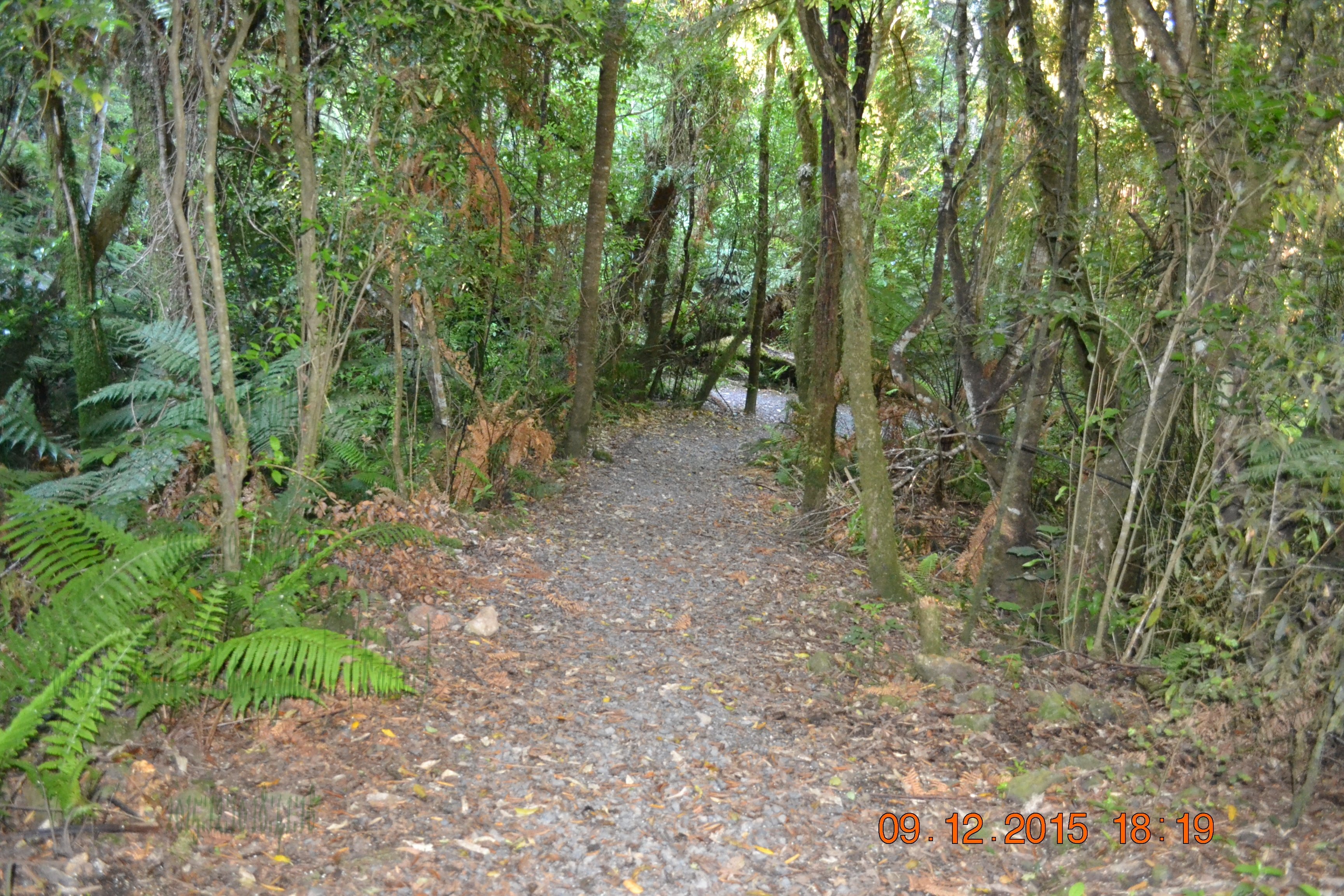 tunnelgully2015dec_235_wm.jpg