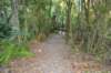 tunnelgully2015dec_235_wm_small.jpg