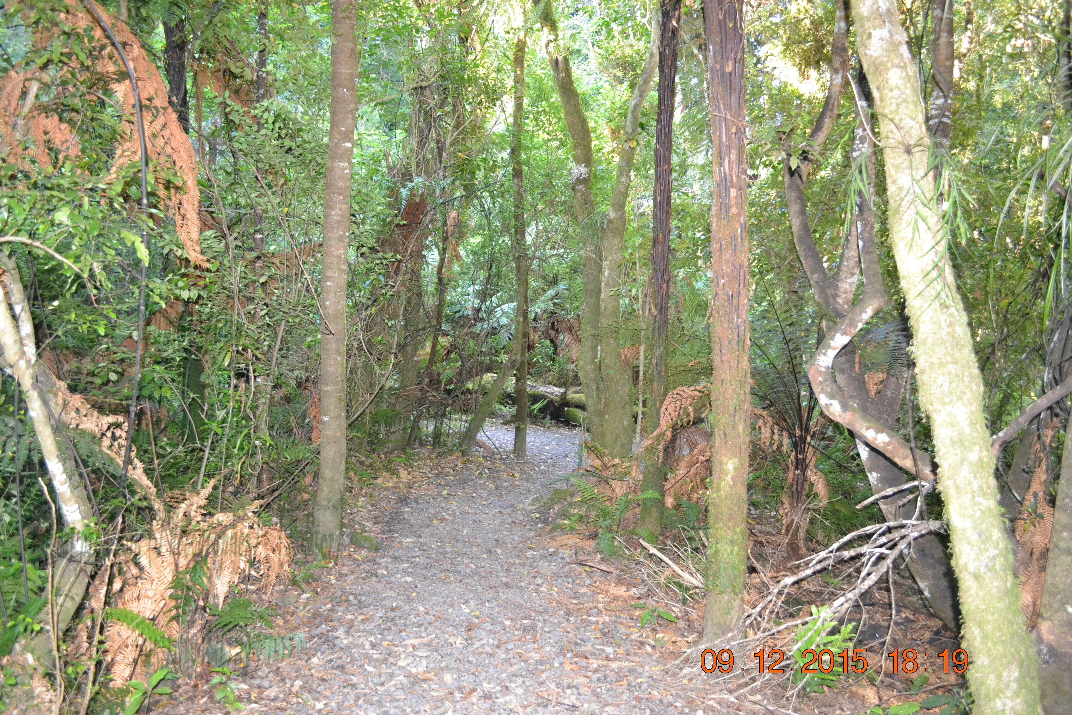 tunnelgully2015dec_236_wm.jpg