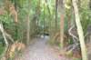 tunnelgully2015dec_236_wm_small.jpg