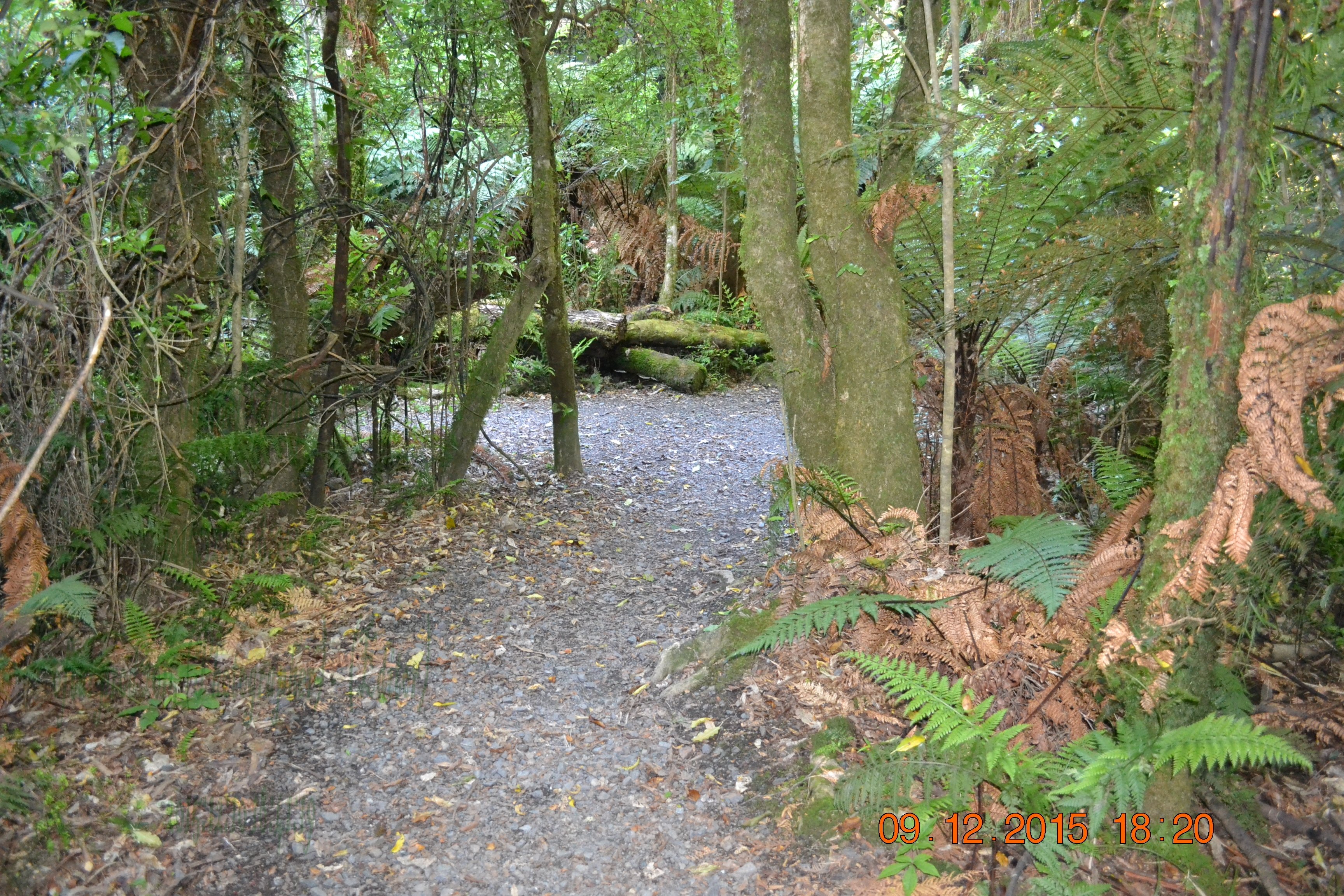 tunnelgully2015dec_238_wm.jpg