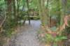 tunnelgully2015dec_238_wm_small.jpg