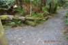 tunnelgully2015dec_239_wm_small.jpg