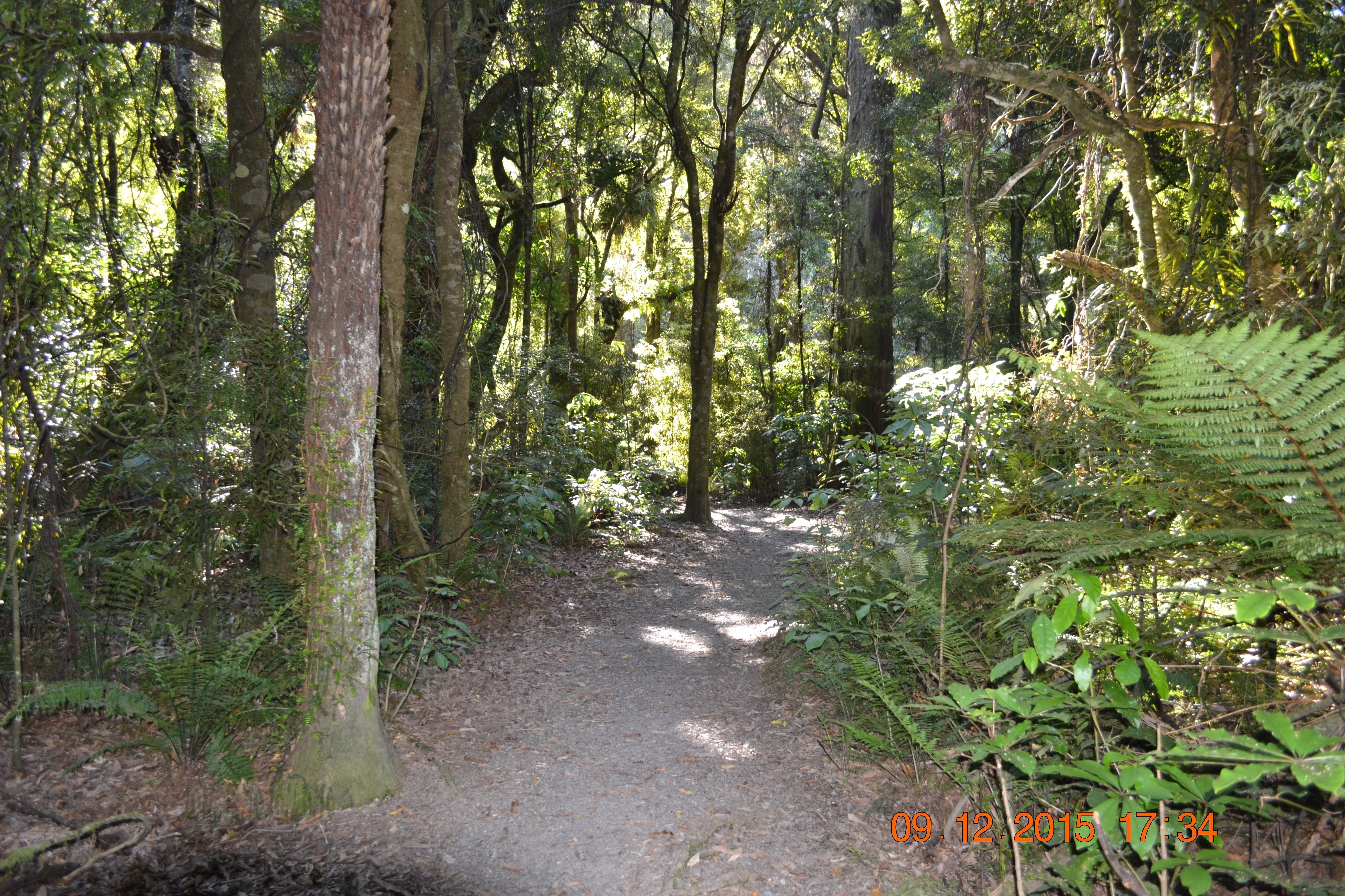 tunnelgully2015dec_23_wm.jpg