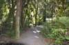 tunnelgully2015dec_23_wm_small.jpg