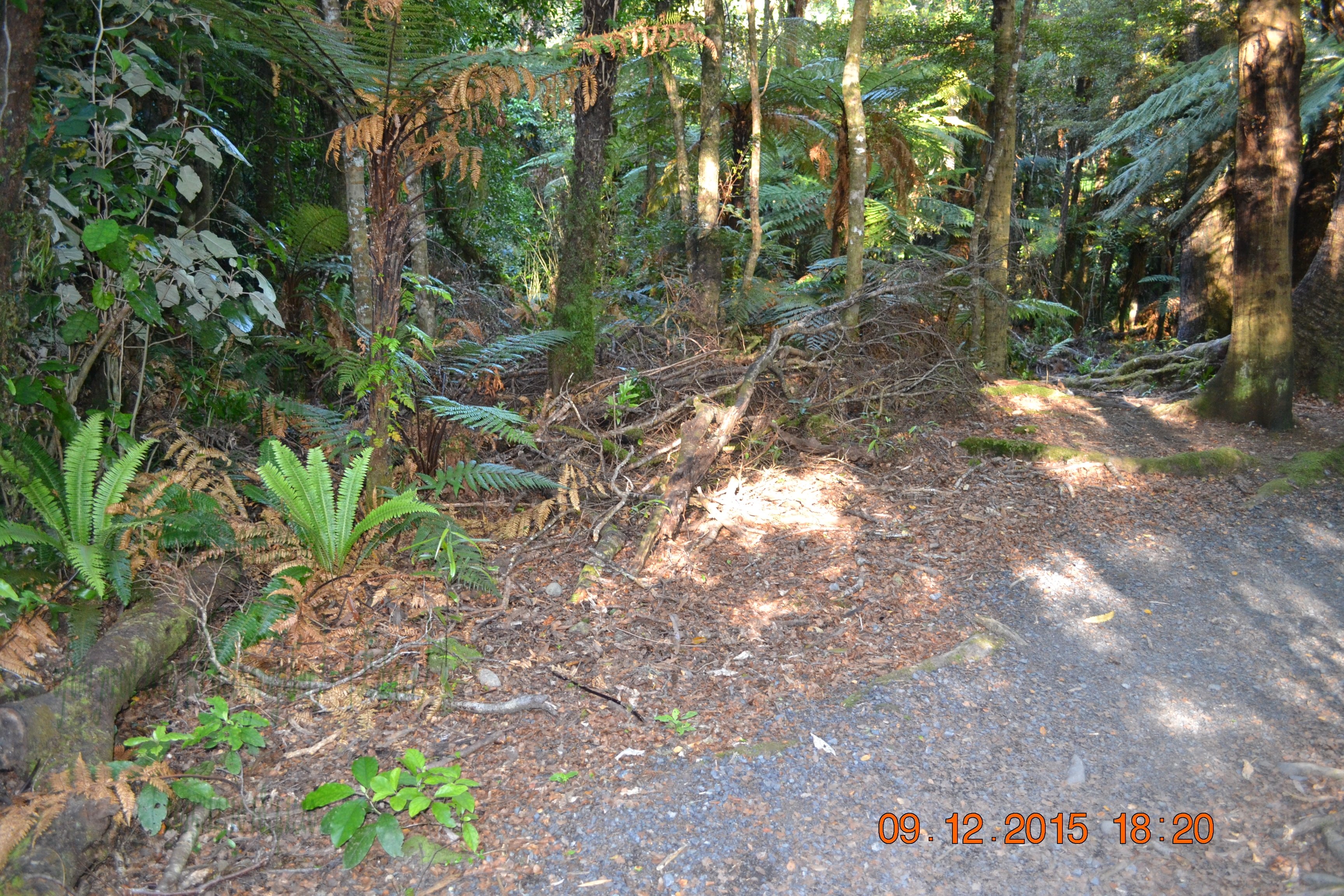 tunnelgully2015dec_241_wm.jpg