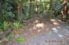 tunnelgully2015dec_241_wm_small.jpg