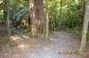 tunnelgully2015dec_242_wm_small.jpg