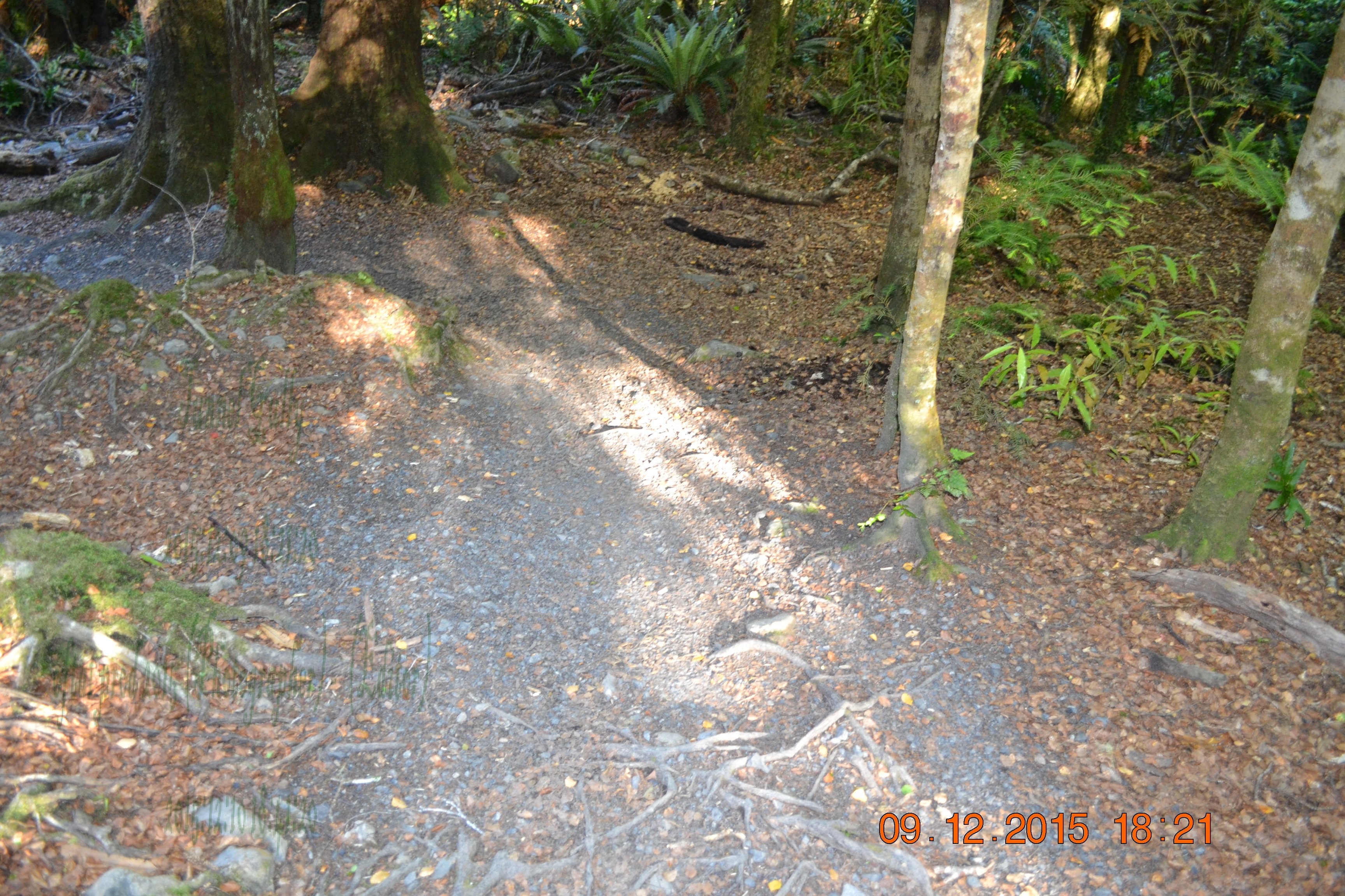 tunnelgully2015dec_243_wm.jpg