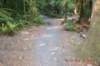 tunnelgully2015dec_245_wm_small.jpg