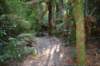tunnelgully2015dec_246_wm_small.jpg