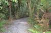 tunnelgully2015dec_247_wm_small.jpg