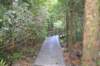 tunnelgully2015dec_248_wm_small.jpg