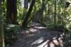tunnelgully2015dec_24_wm_small.jpg