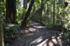 tunnelgully2015dec_25_wm_small.jpg