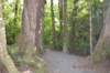 tunnelgully2015dec_27_wm_small.jpg