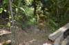 tunnelgully2015dec_30_wm_small.jpg