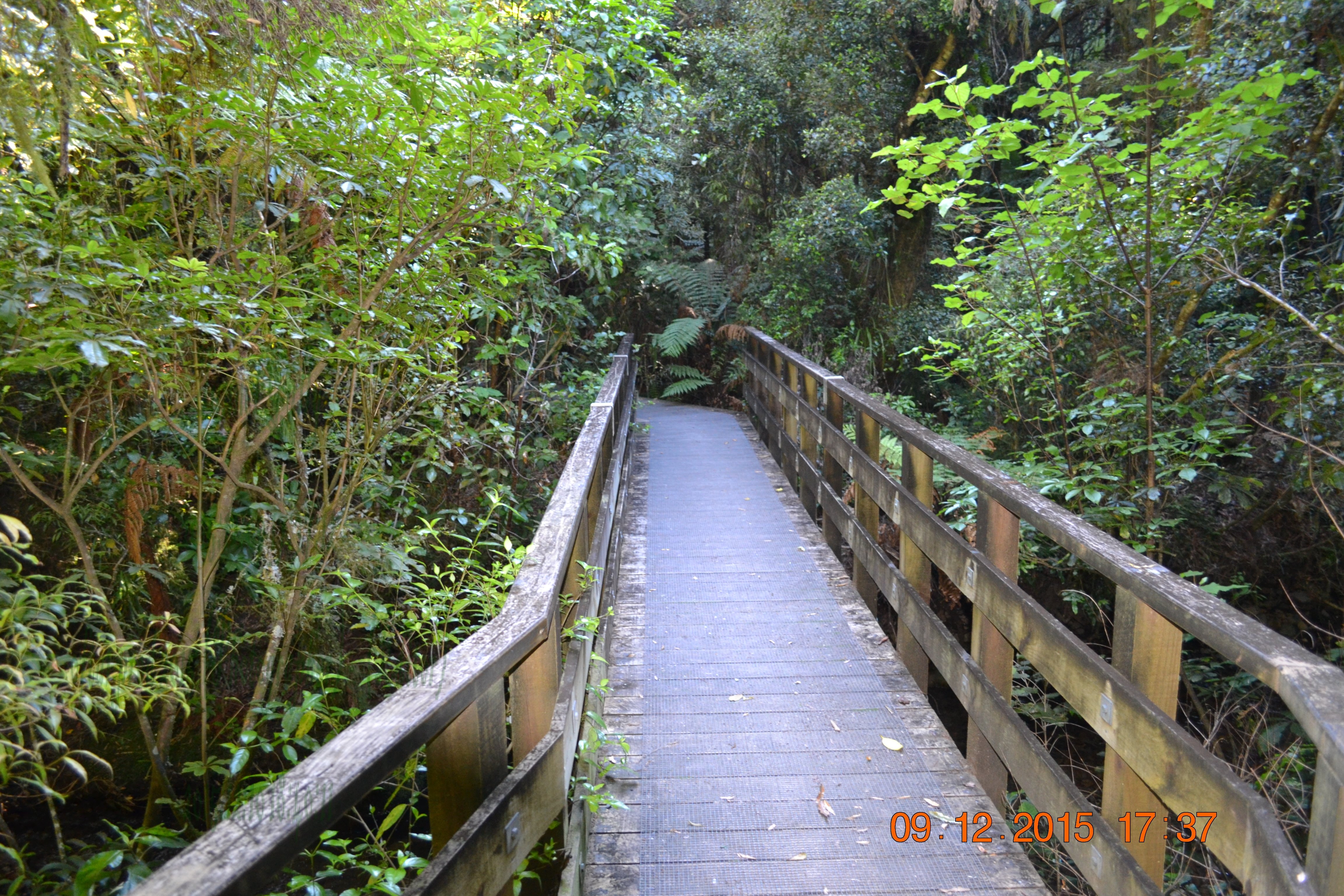 tunnelgully2015dec_32_wm.jpg