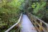 tunnelgully2015dec_32_wm_small.jpg