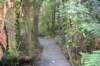tunnelgully2015dec_33_wm_small.jpg
