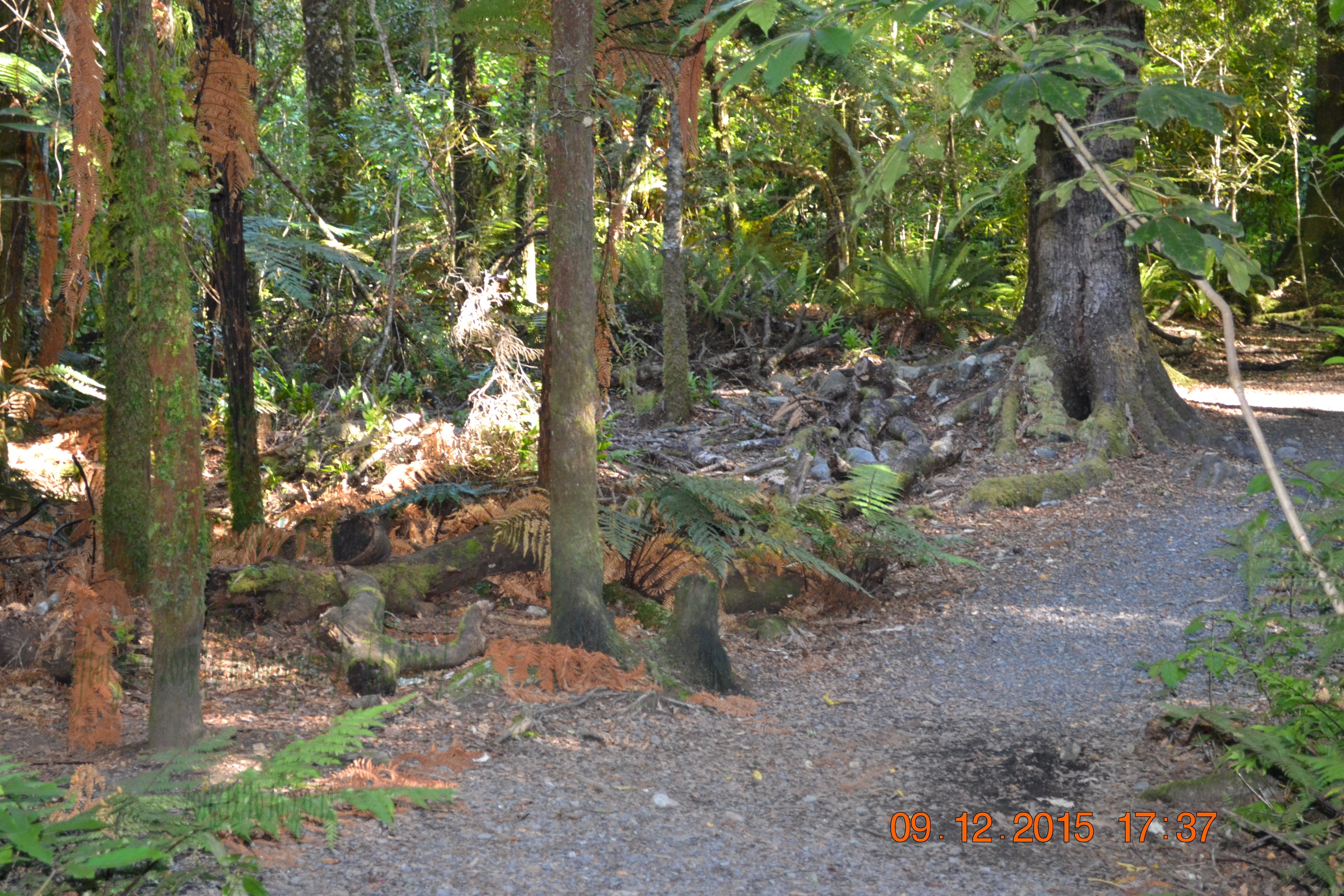 tunnelgully2015dec_34_wm.jpg