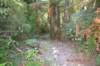 tunnelgully2015dec_35_wm_small.jpg