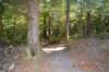 tunnelgully2015dec_36_wm_small.jpg