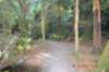 tunnelgully2015dec_39_wm_small.jpg