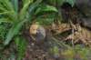 tunnelgully2015dec_41_wm_small.jpg