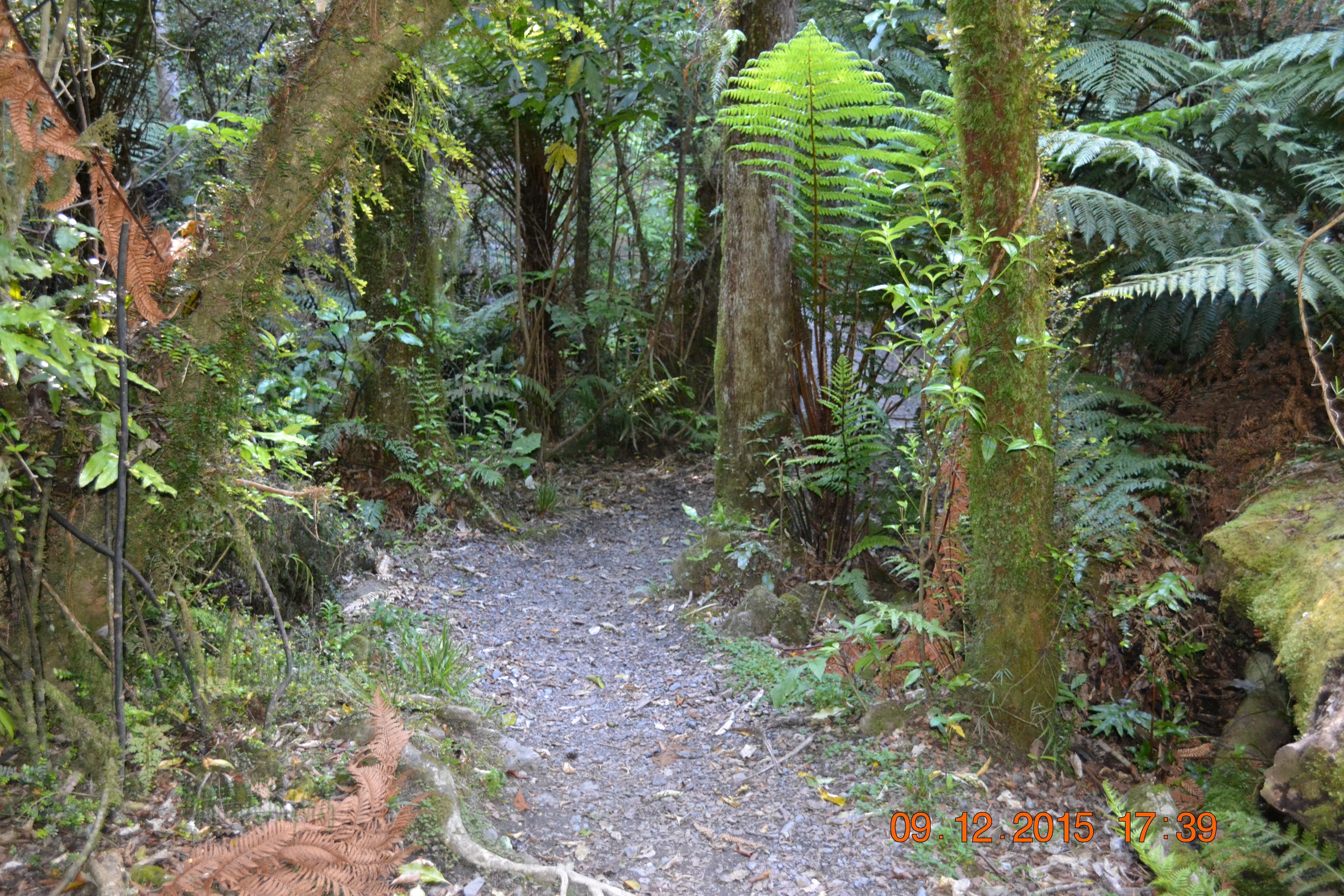 tunnelgully2015dec_42_wm.jpg