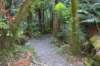 tunnelgully2015dec_42_wm_small.jpg
