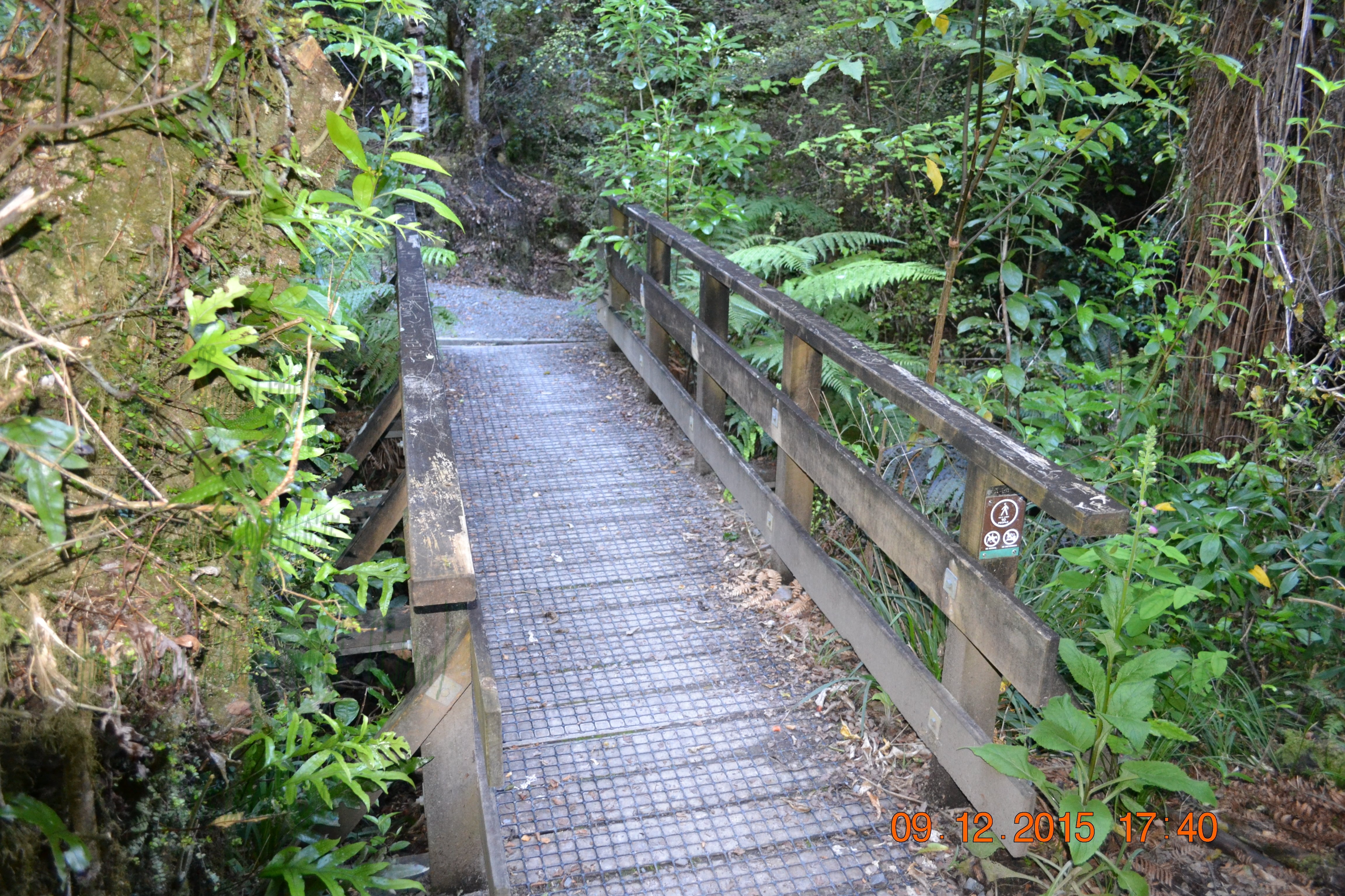 tunnelgully2015dec_44_wm.jpg