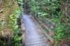 tunnelgully2015dec_44_wm_small.jpg