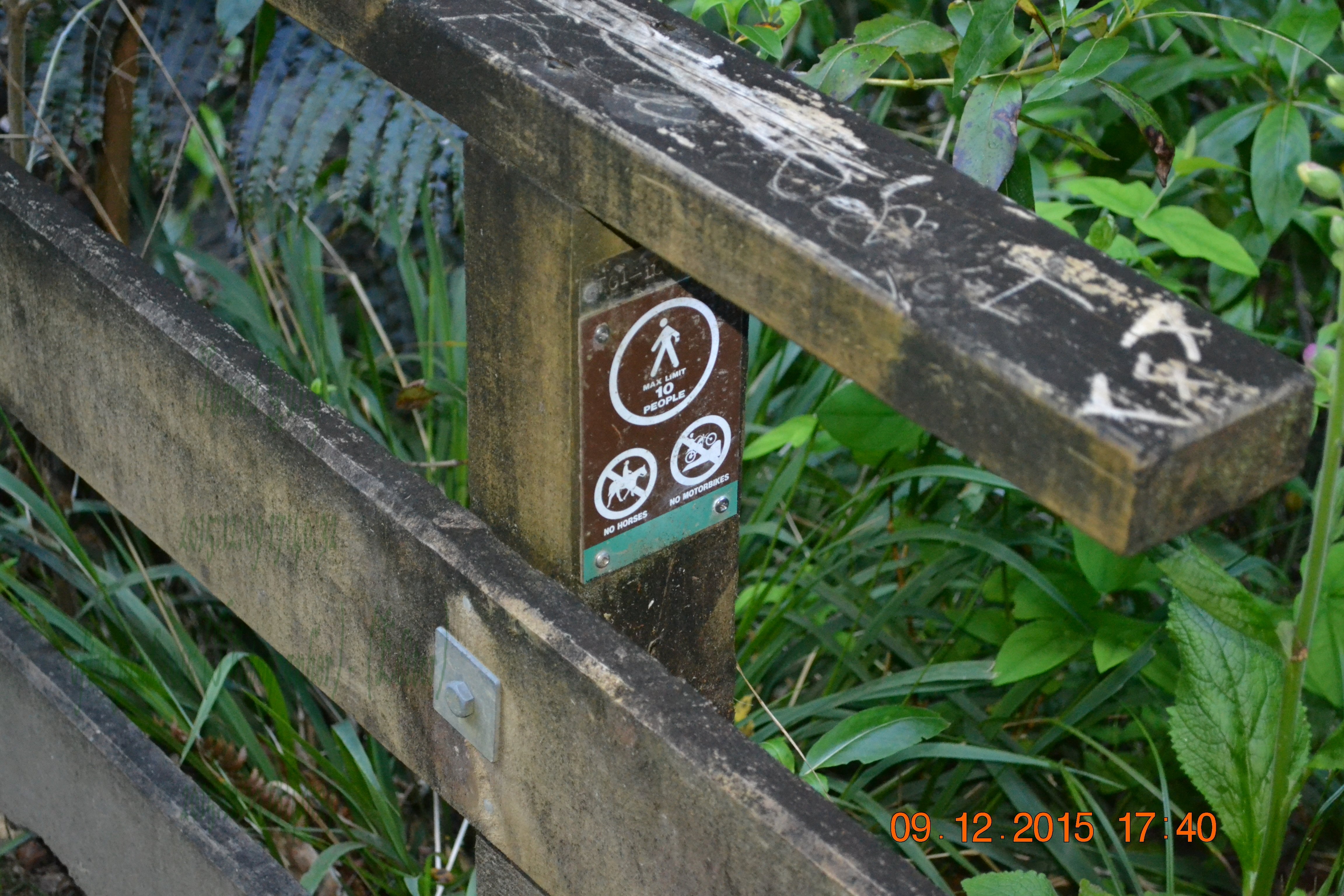 tunnelgully2015dec_45_wm.jpg