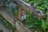 tunnelgully2015dec_45_wm_small.jpg