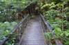 tunnelgully2015dec_46_wm_small.jpg