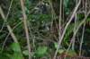 tunnelgully2015dec_47_wm_small.jpg