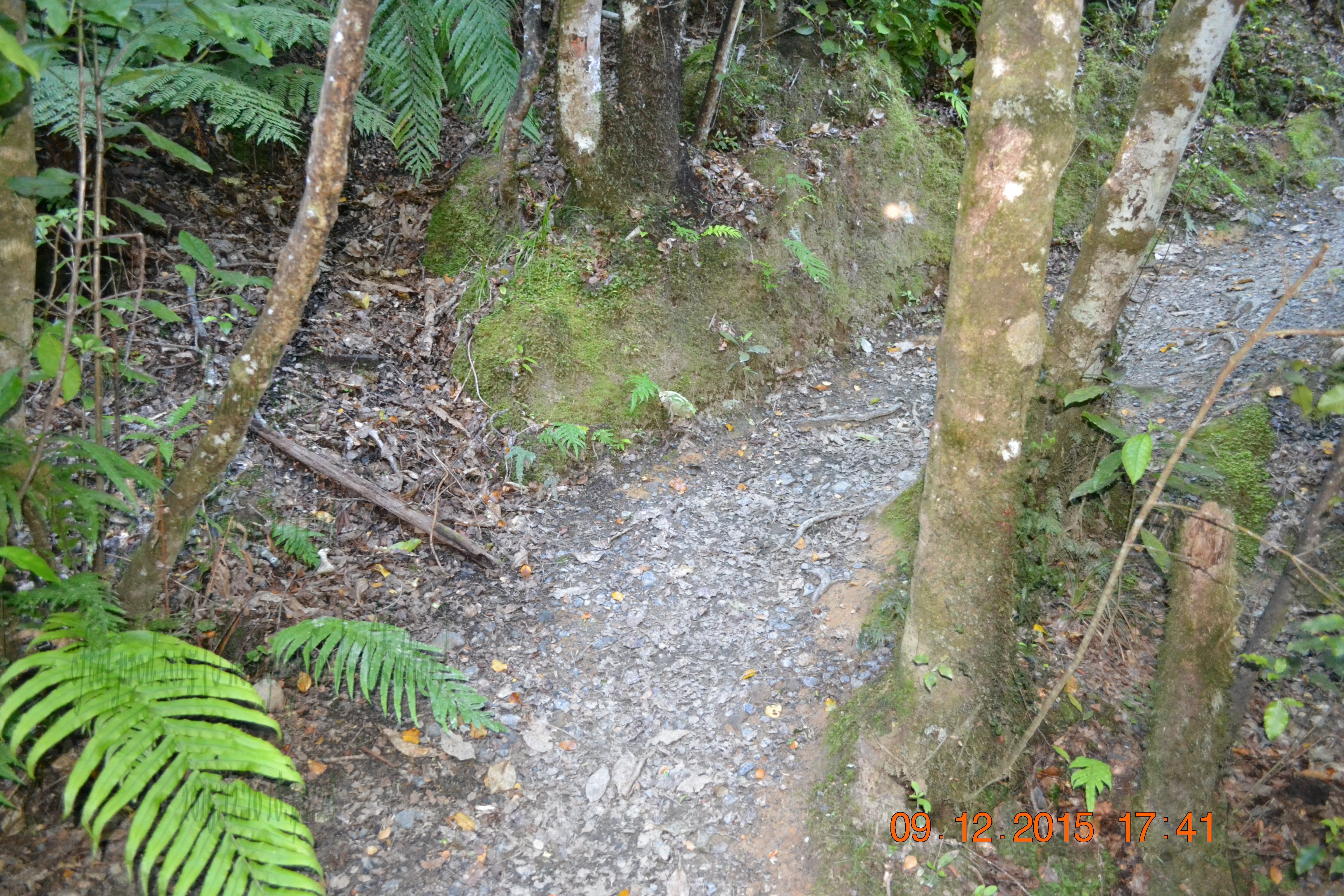 tunnelgully2015dec_48_wm.jpg