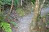 tunnelgully2015dec_48_wm_small.jpg