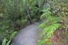 tunnelgully2015dec_49_wm_small.jpg